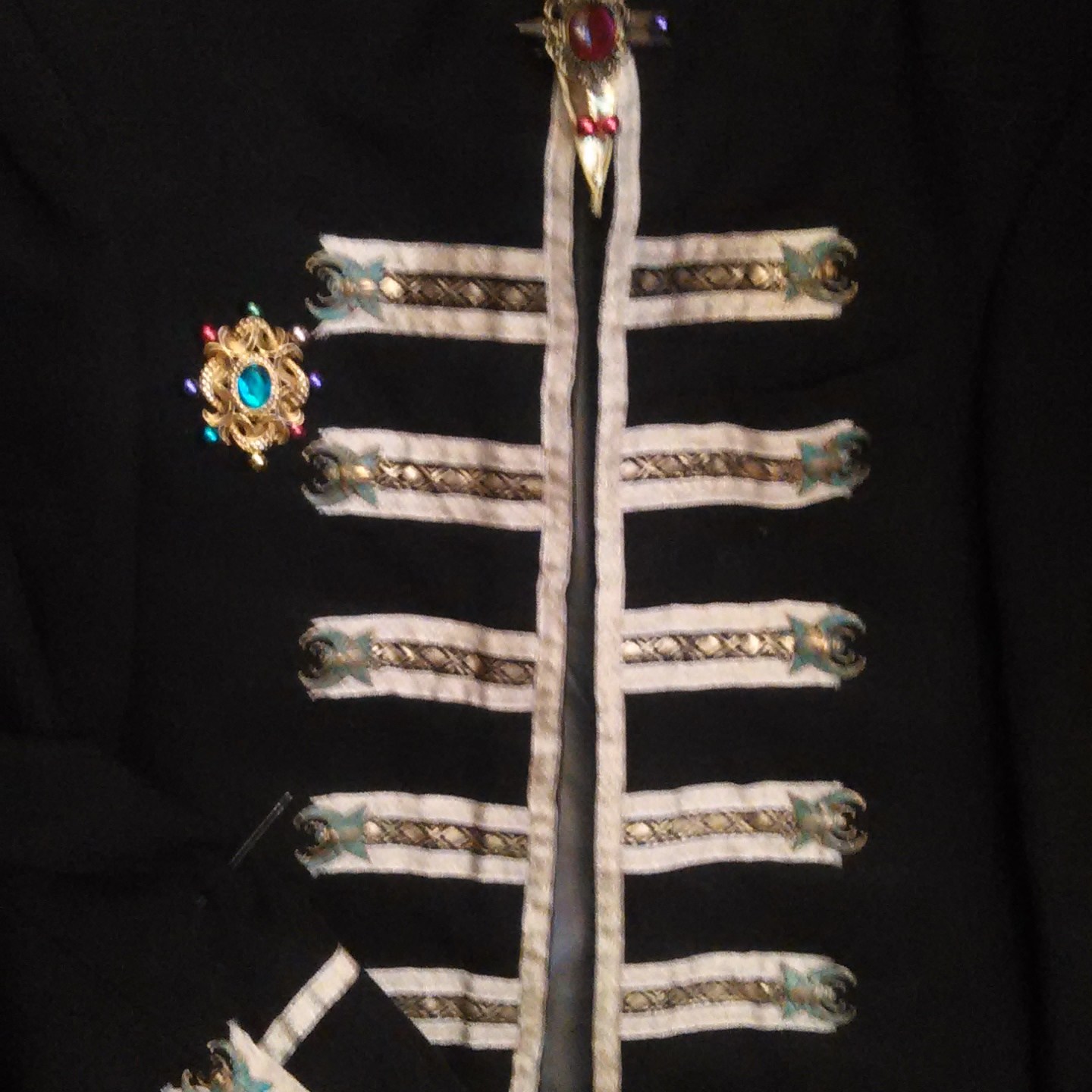 Close-up of fancy coat