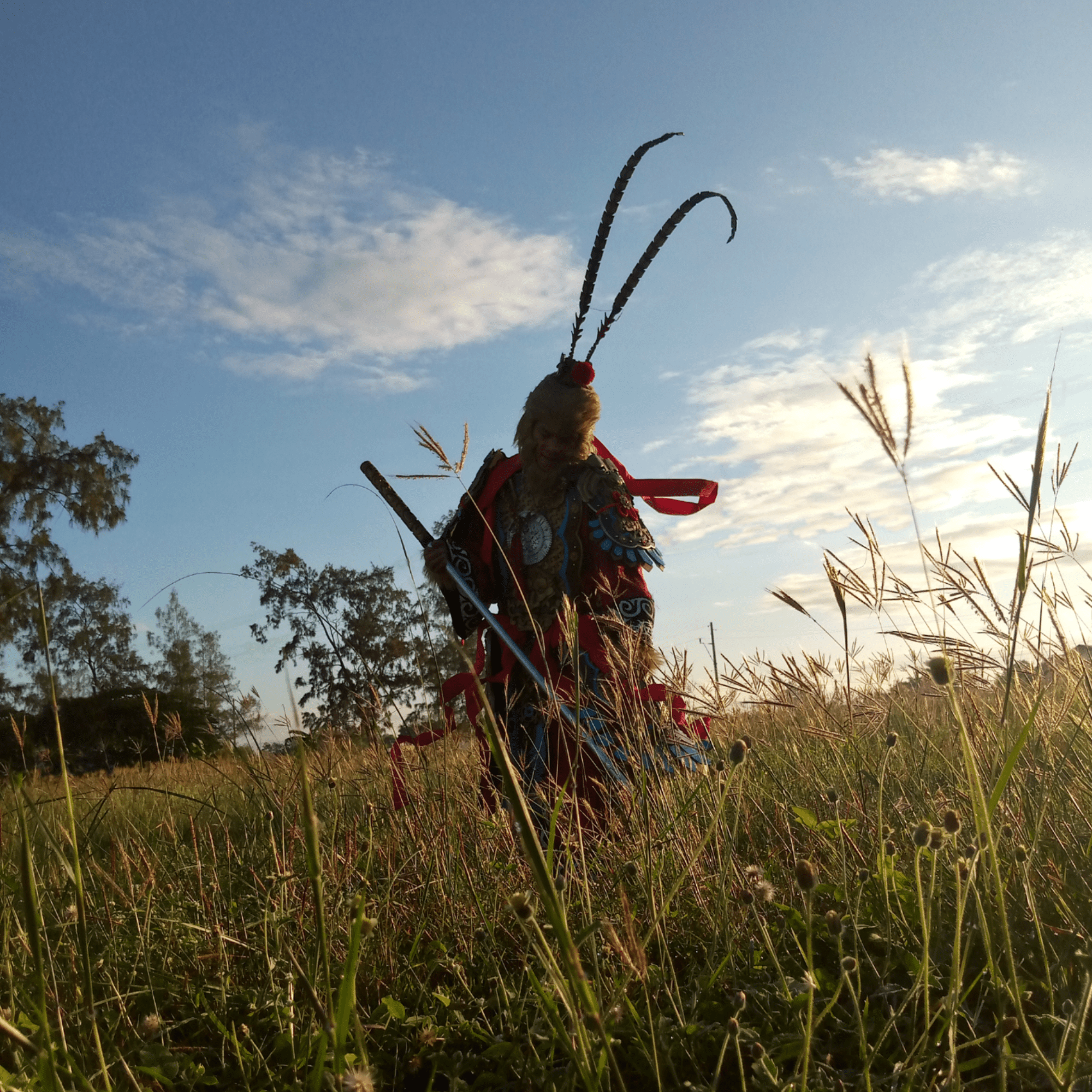Monkey-warrior in Asian robes