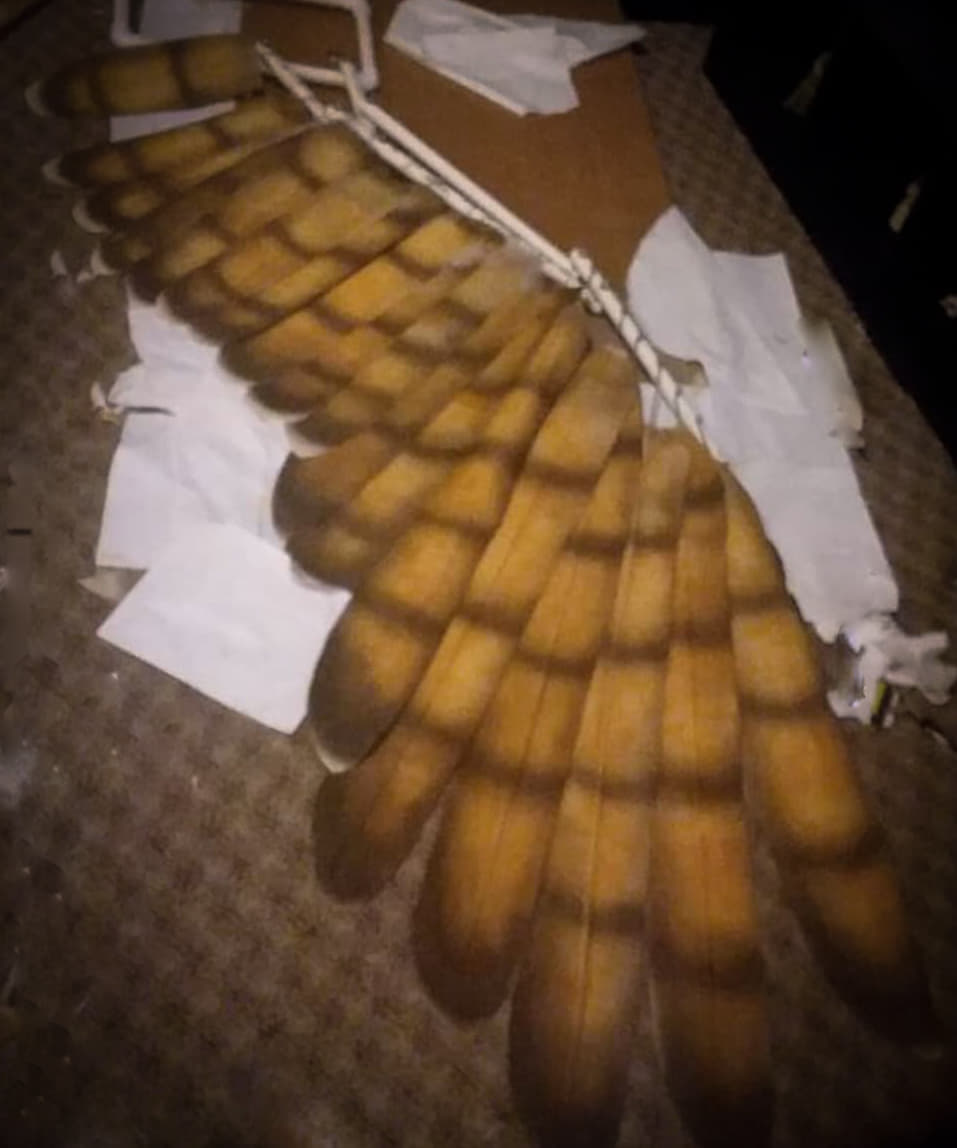 Armored version of hawkgirl. Gold and black hawk mask with a metallic finish, green leggings, red boots, big hawk wings that open and close, a mace, yellow top with arm bracers.