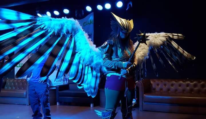 Armored version of hawkgirl. Gold and black hawk mask with a metallic finish, green leggings, red boots, big hawk wings that open and close, a mace, yellow top with arm bracers.